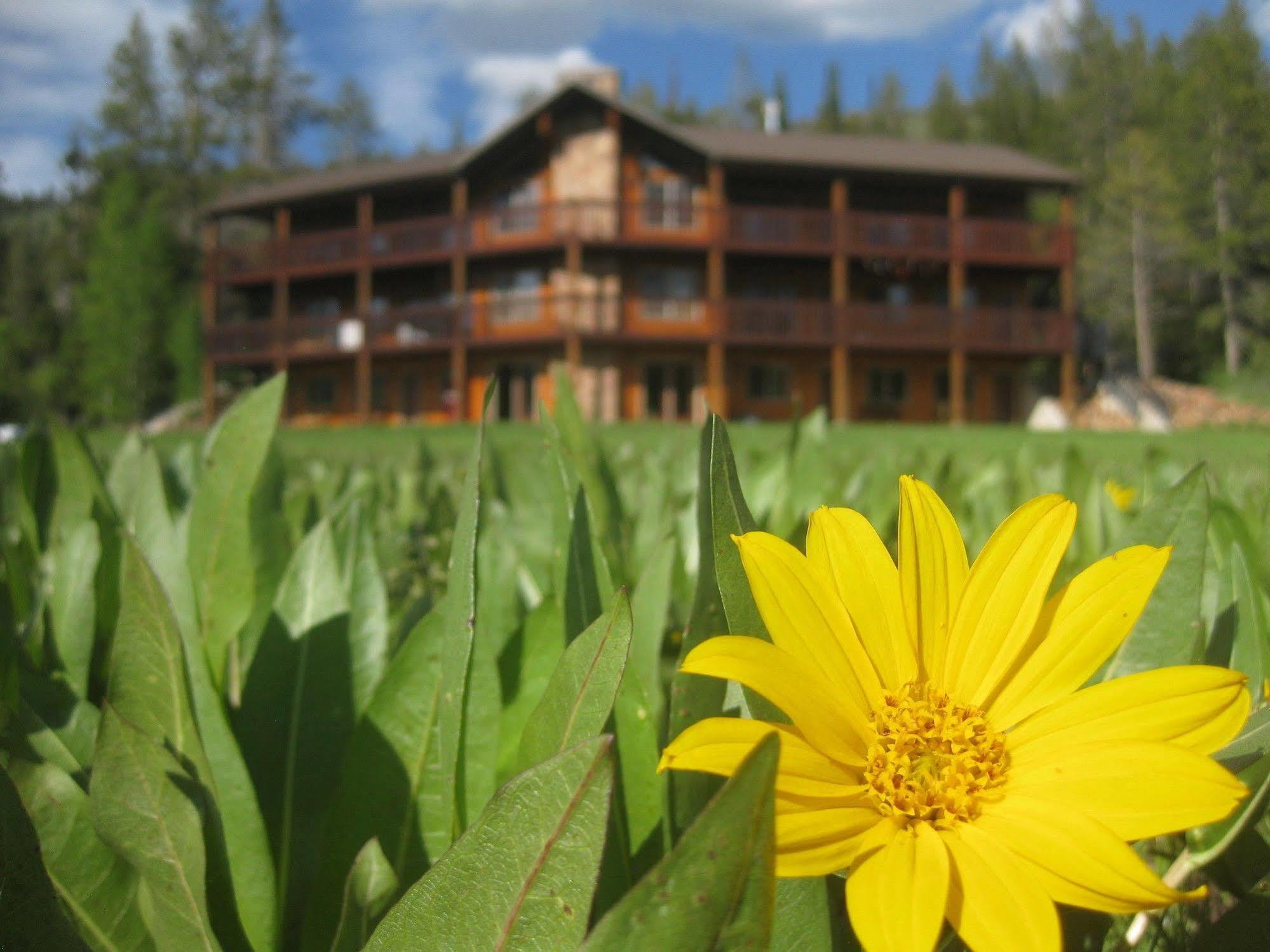 Beaver Creek Lodge Logan Exteriör bild